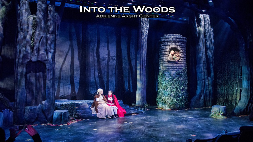 intothewoods